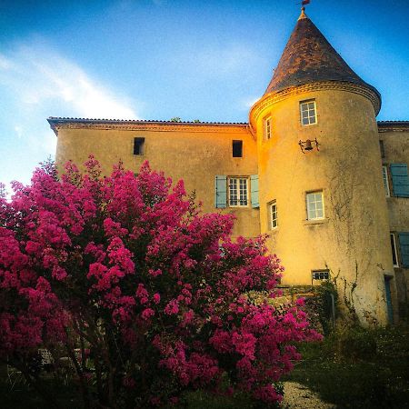 Chateau Gros Puy, Petit Chateau Chambre D'Hote Abjat-sur-Bandiat Екстер'єр фото