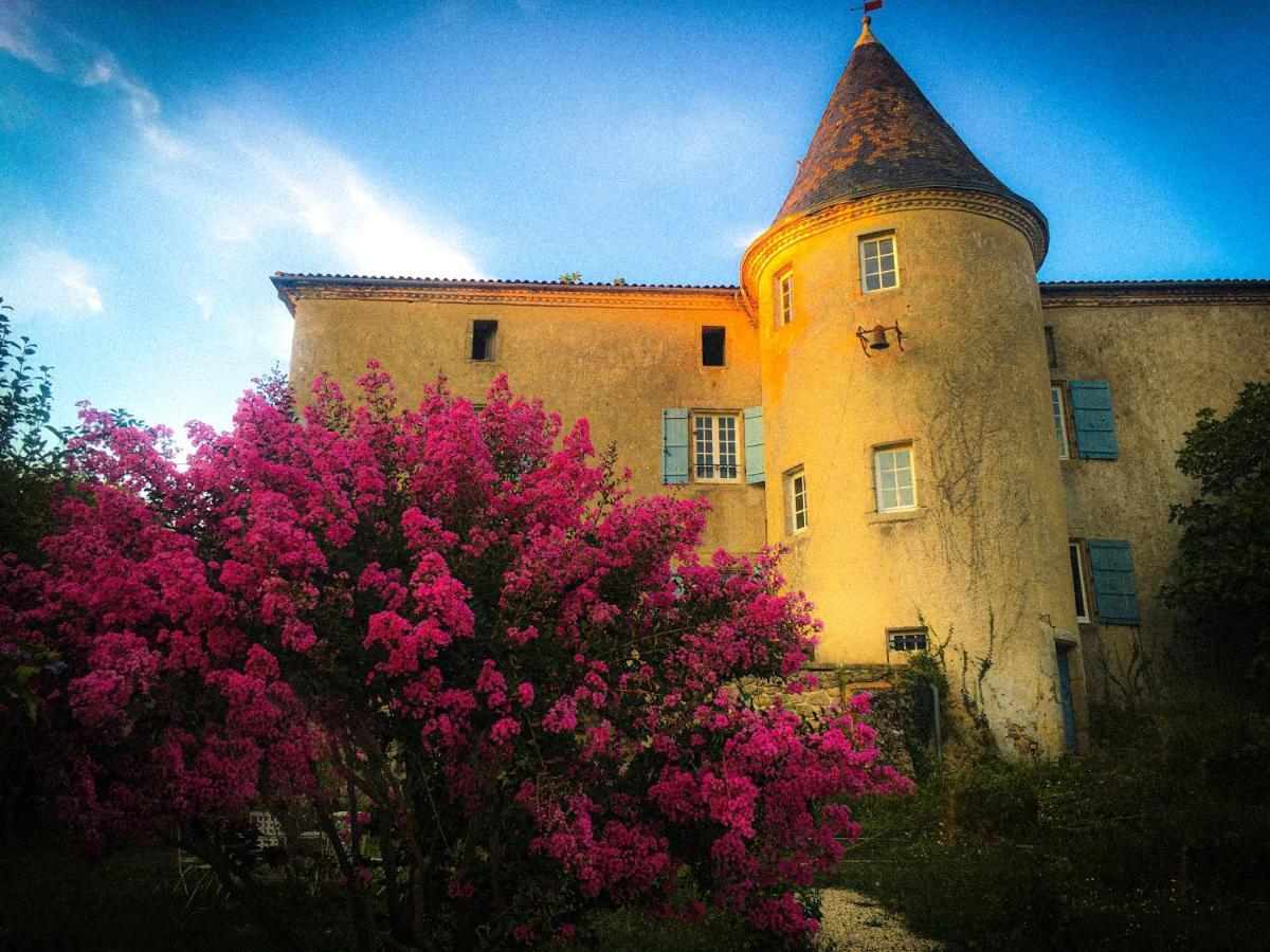 Chateau Gros Puy, Petit Chateau Chambre D'Hote Abjat-sur-Bandiat Екстер'єр фото